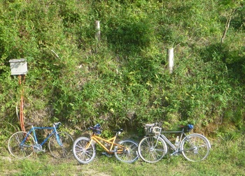 277自転車たち.JPG