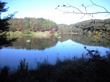 95宮沢湖3.JPG